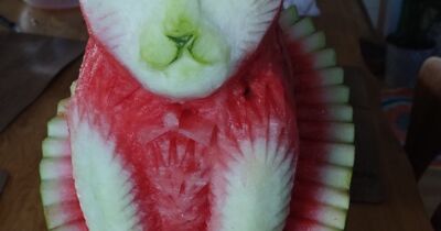 Kätzchen aus Melone